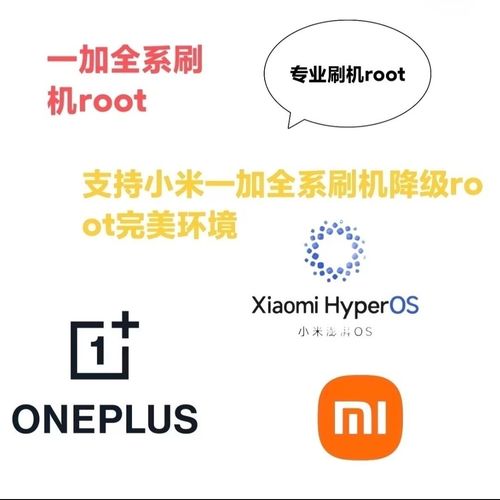 专业远程刷机root/救砖/解bl/面具/隐藏环境/刷机解锁服务